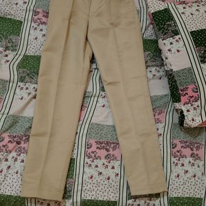 Formal Beige Colour Pant