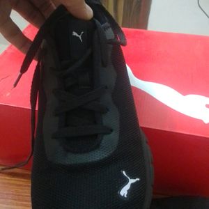 Puma Running Shoes