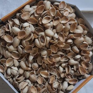 Pistachios Shells 2 Kg. Art Craft