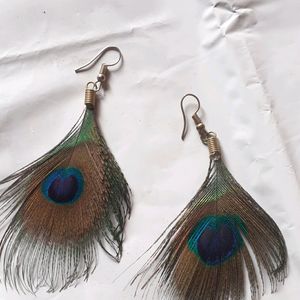 Beautiful Peacock Feather Earrings