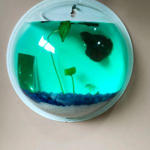 Wall Hanging Fish Aquarium