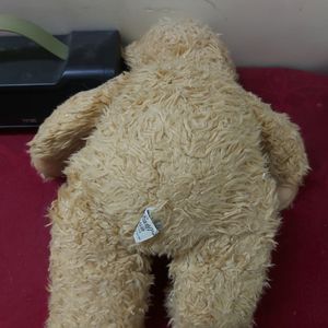Furry Teddy Bear BY Westcliff Collection (CHINA)