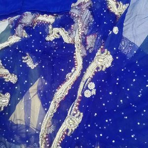 Zardozi Pearl Work Saree With Patticote Rarely Us