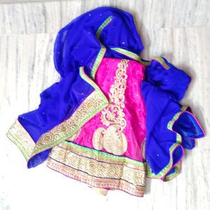 Rani Pink And Dark Blue Lehenga