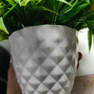 Decorative Flower Pot (Plastic Plant)