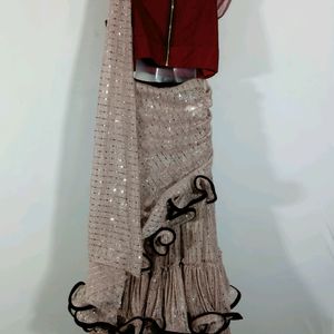Maroon Embroidered Ready to Wear Saree (Women)