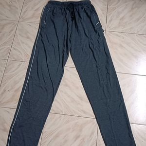 Branded Cotton Pant