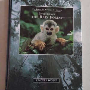 Mysteries Of The Rain Forest