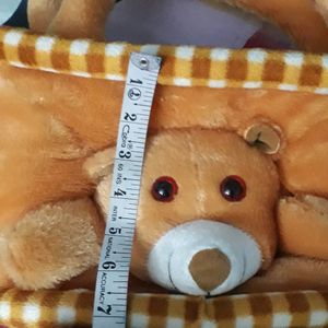 Teddy Bag