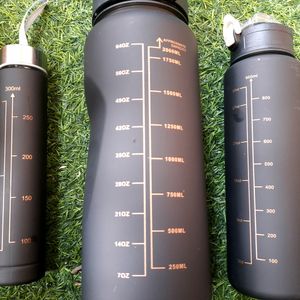 Motivational Water Bottle Golden Embossed Set Of 3