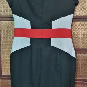 Bodycon Dress (Corporate Use )