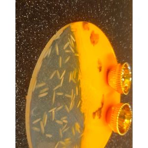 Resin Art Thali Medium Size