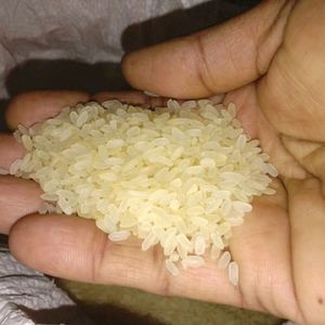 10 Kg Raw Ration Rice