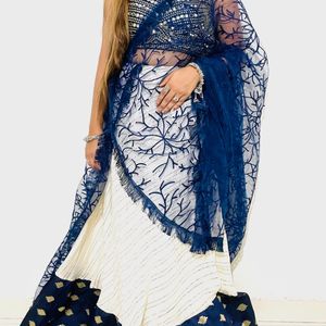 White Lehnga Choli