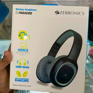 Zebronics Headfone