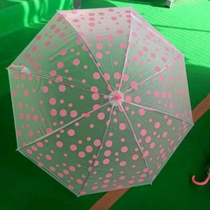 Beautiful Umbrella☂️