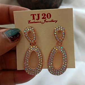 Shining Elegant Earrings