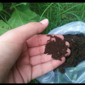 Primume Quality Vermicompost Pack Of 5 Kg 🌻