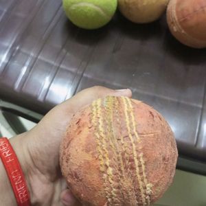 Sg Professional Cricket Ball