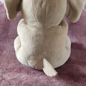 Baby Elephant Cute Soft Toy.