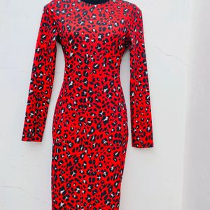 Zara Basic Animal Print Dresss