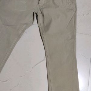 Slim Fit Pant