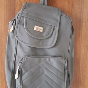 New Grey Back Pack