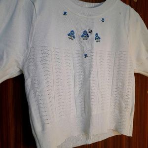 White Crop Top Korean Blue Embroidery