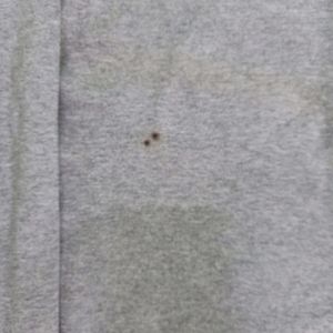 Sweatshirt From Grey Connection