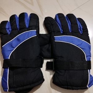 Gloves with Inner