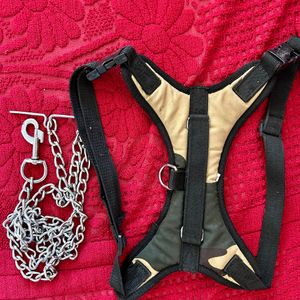 Dog Harness Belt