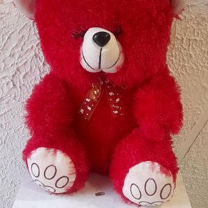 Red Teddy