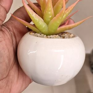 2pc Artificial Mini Desktop Plant