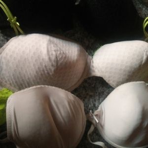 1 Daily Use Brief As A Freebie 5 Padded Bra