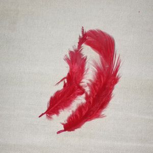 Feather