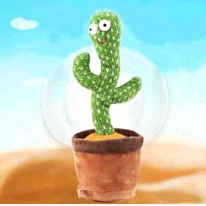 Musical Cactus