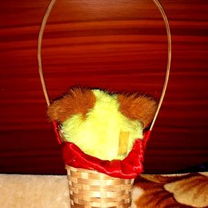 Cute Teddy In Bamboo Basket