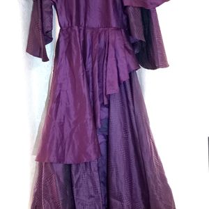 Wine Coloured Gown