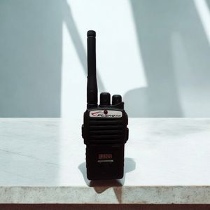 Walkie Talkie