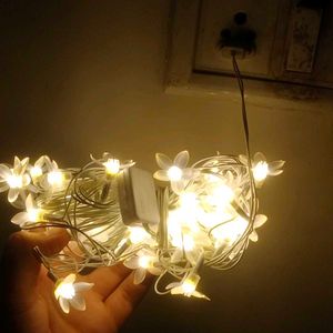 Brand New Flowers Led Series For Decoration | 40Fe