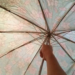 Used Umbrella