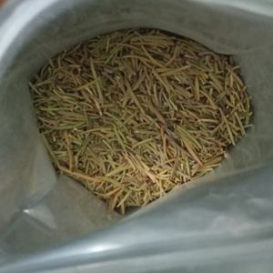 Dried Rosemary Leaves