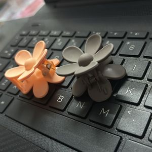 Hair Clips