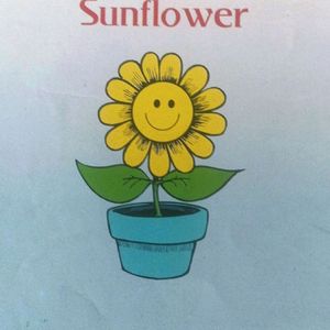 3 Books:Golden Sunflower,Pink Elephant,LittleMouse