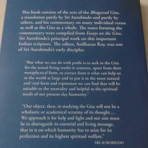 The Message Of thegita, Meditation