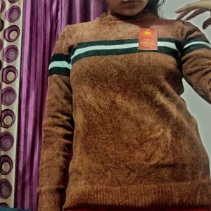 Brown Sweater