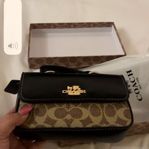 Coach Copy Sling Bag