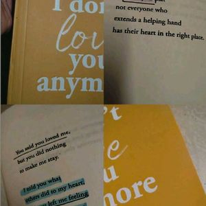 I Don't love You Anymore Book