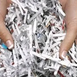 Eenfnety ™ Shredded Papers Written 200 Grams