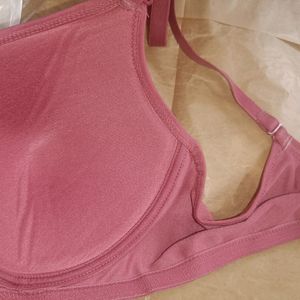 Alishan Padded Bra